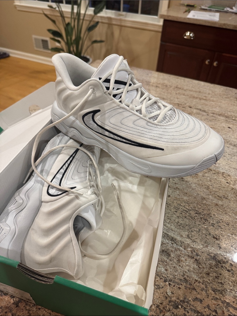 Nike White Sneakers with Black Swoosh Accent
